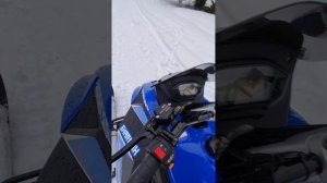 Обкатка и поломки Sharmax SN-280 🫣 Проехал всего 300 км 😱