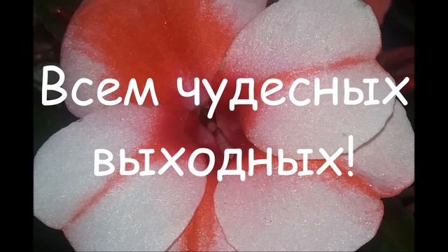 Ура! Пятница! 😊 Чудесных выходных! 🌹🌹🌹 Красивая музыкальная открытка смотреть онлайн