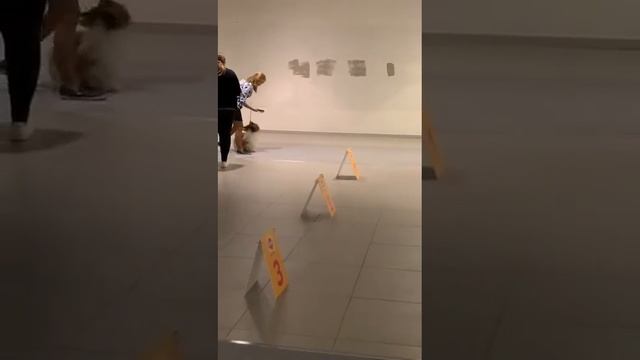 15 мая 2022 г. смотреть онлайн