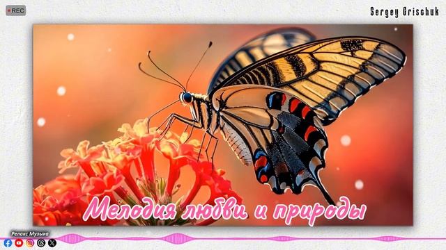 Эту музыку можно слушать вечно! Я плакала, когда услыш?