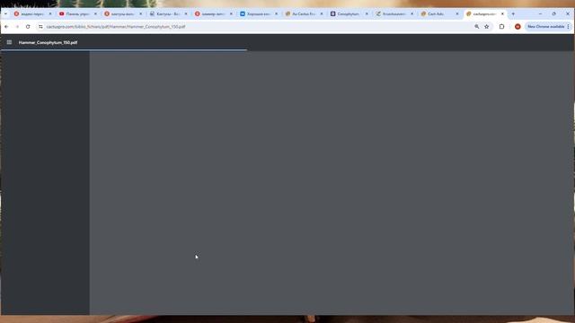 Книги о литопсах и не только  Где посмотреть много лит?