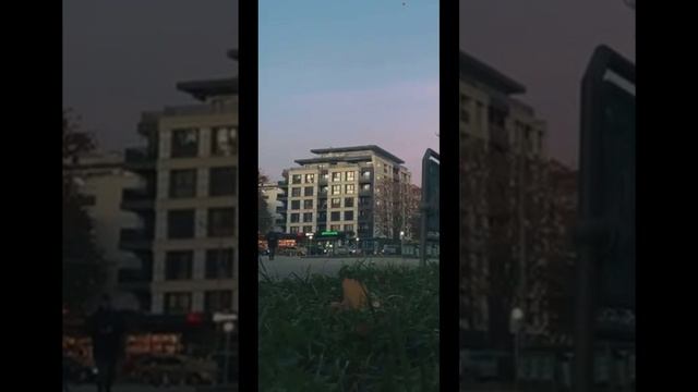 Сняла видео-ролик для канала/ покадровый разбор от пре