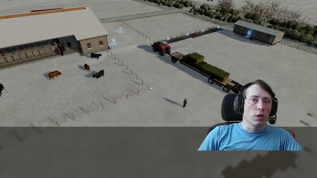 Мясные коровы.  Мини гайд. Farming Simulator 22