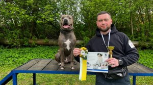 К общему курсу дрессировки или ОКД с УГС готов!