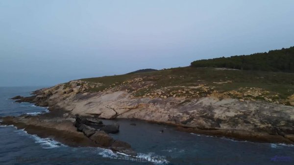 Видео, которое заставит вашего тестя расплакаться! - Bout De Toi -- Anemone -- Live at WFMU for Soph