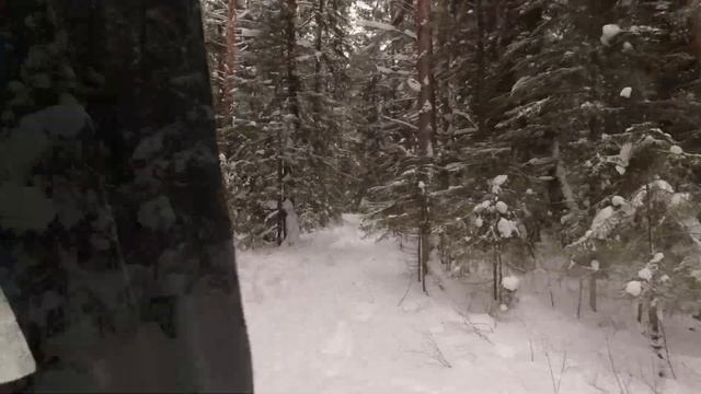 Argo Centaur в снегу на универсальных гусеницах