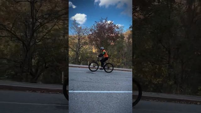 СКОЛЬКИ СКОРОСТНОЙ ВЕЛОСИПЕД ВЫБРАТЬ? РАССКАЖЕМ НЕМН?