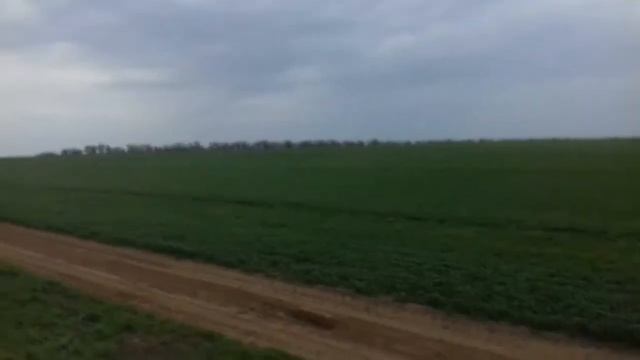 Обработка гербицидами Озимой пшеницы  1 мая  2017