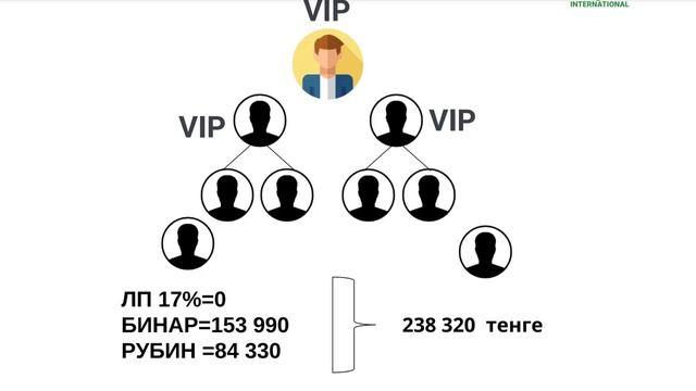 МАРКЕТИНГ ПЛАН ВИП ИНТЕРНЕШНАЛ 2025 ГОД. смотреть онлайн