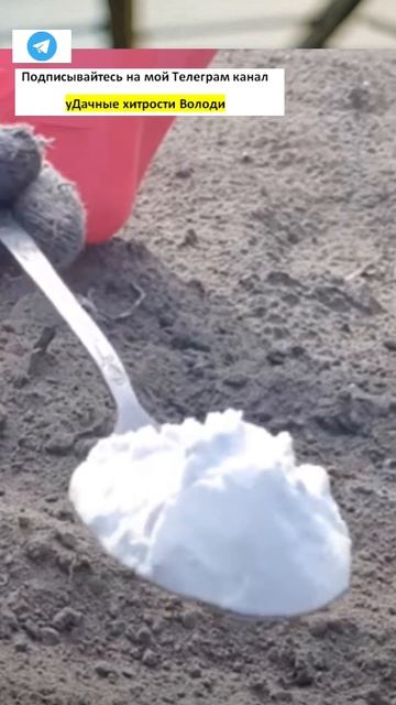 Это прям находка для всех огородников! Простой способ смотреть онлайн