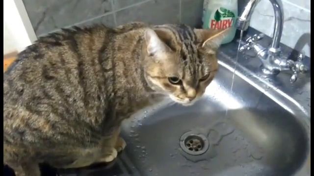 Утро 1 января. Жажда. смотреть онлайн