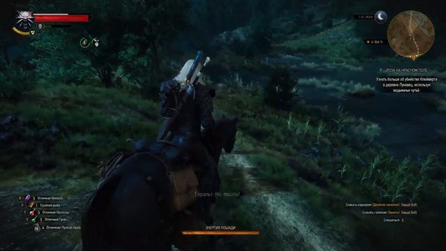 The Witcher 3: Wild Hunt / Сложность: На Смерть! / Роза На Красном П смотреть онлайн