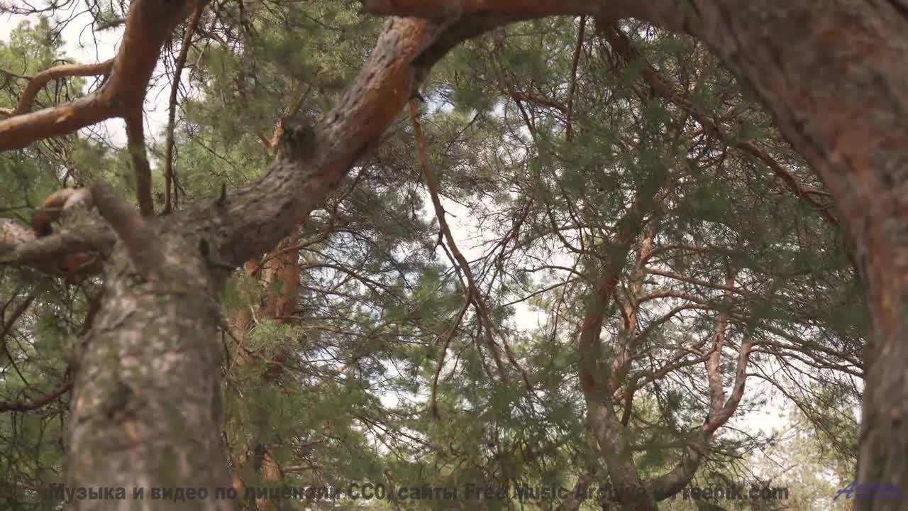 Каждый кадр - словно открытка, ожившая под музыку - Montevideo -- Duncan Reid And The Big Heads -- L