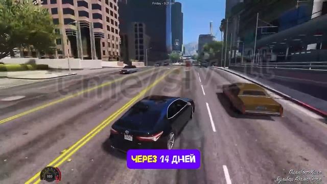 Порта Пати в Дубае – Вся Правда! Porto Potty Dubai | Истории де? смотреть онлайн