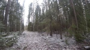 Первый гонный заяц у молодого охотника Паши. Охота на зайца с гончими зимой. Кировская область.