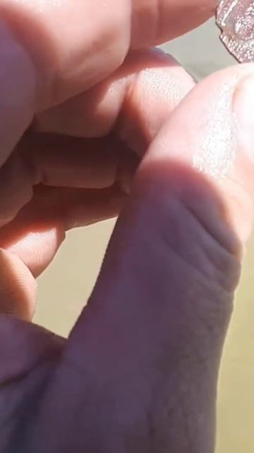 Это как так сломать можно монету? #металлоискатель #ко? смотреть онлайн