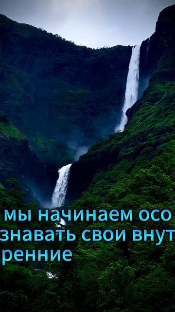 Связь с внутренним миром. #2024 #Shorts #природа #философия #? смотреть онлайн