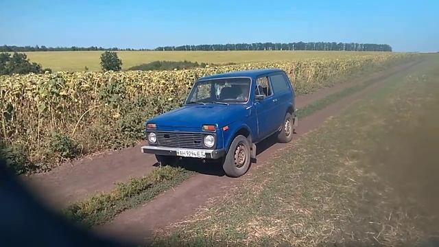 Жена сама за рулём первый раз. смотреть онлайн