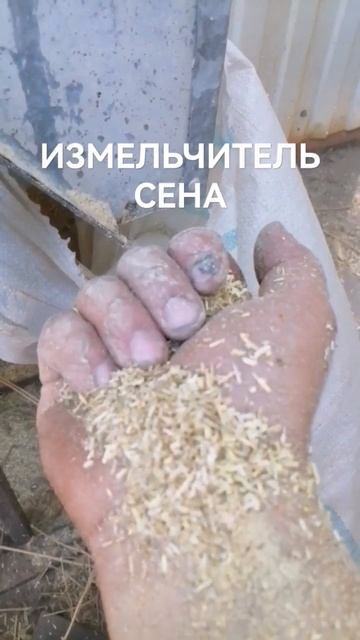 ИЗМЕЛЬЧИТЕЛЬ СЕНА смотреть онлайн