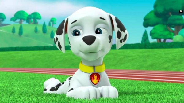 ЩЕНЯЧИЙ ПАТРУЛЬ