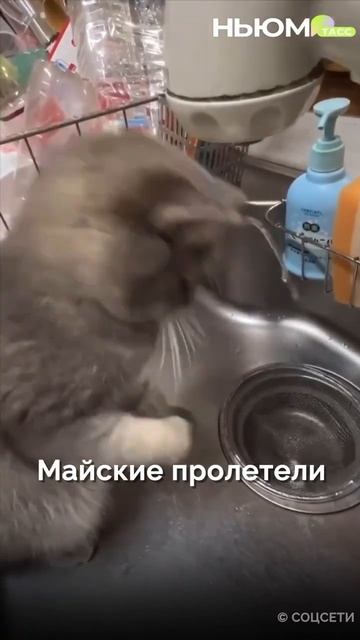  смотреть онлайн