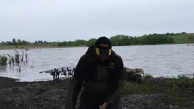 Открытие сезона пеньков