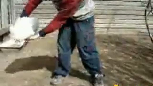 Прикол с курицей ))) смотреть онлайн