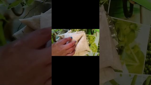 Готовлю треугольники с лаваша с колбасой и сыром.