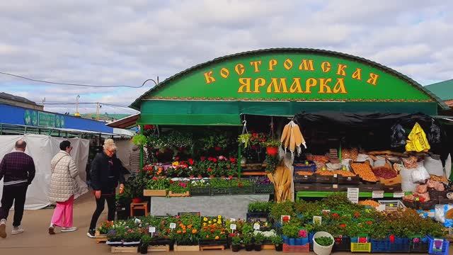 Ярмарка Цветов Центральный рынок Кострома смотреть онлайн