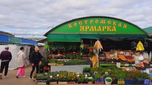Ярмарка Цветов Центральный рынок Кострома