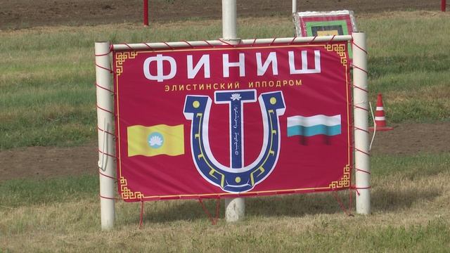 ИППОДРОМ СКАЧКИ 9 МАЯ 2025 ЭЛИСТА