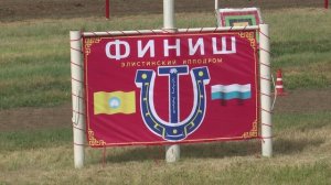 ИППОДРОМ СКАЧКИ 9 МАЯ 2025 ЭЛИСТА