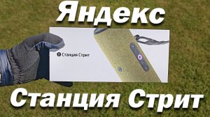 Яндекс Станция Стрит - Портативная Алиса / Обзор