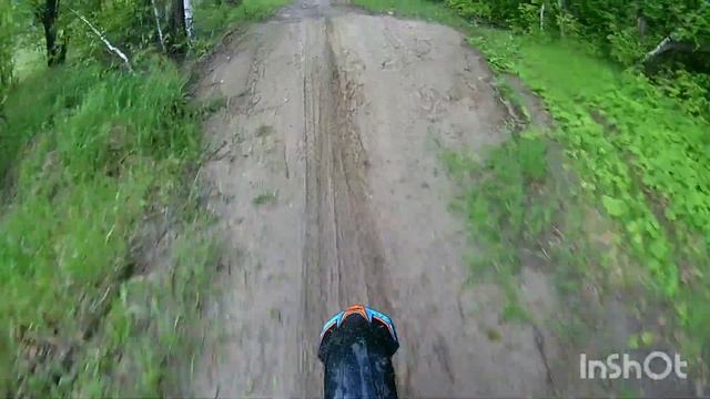 Прогаси гауди 300