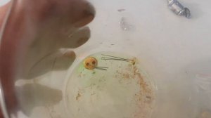 Переключатели ПР2-10 93г. выпуска и транзисторы на прове?