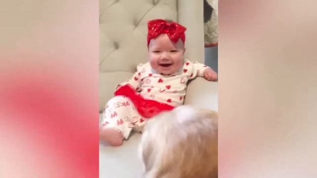дети и собаки! смешные видео! kids and dogs! funny video! смотреть онлайн