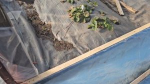 Двери шторки на балаган.