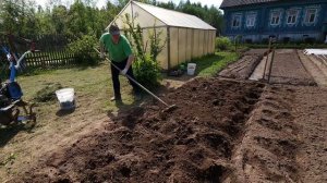 Картошку  посадили...