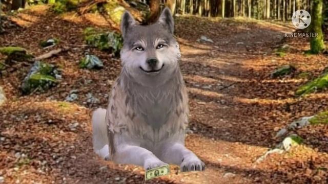 прикол WildCraft (сорри что нет звука) смотреть онлайн