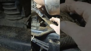 Шахман х3000 горит предохранитель на кабину на 30 ампер