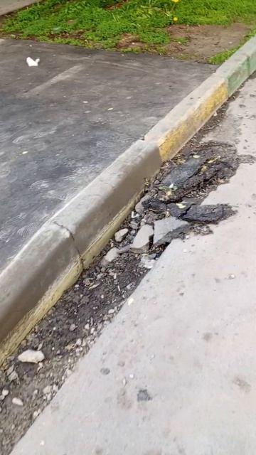 новые бордюры стыкуются со 