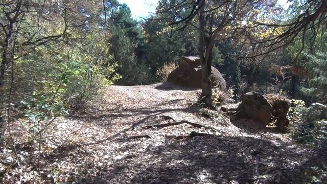 Кисловодск 12 10 24 г Золотая осень смотреть онлайн
