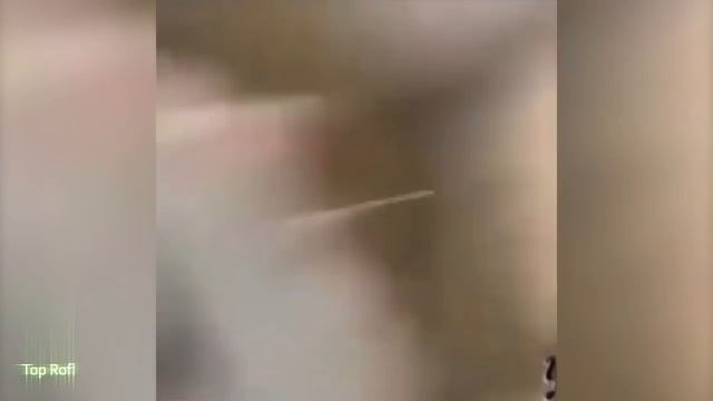 [Top Rofl#5] 13 026 кадров смеха║Приколы║Засмеялся подписался║Тест на психику║ смотреть онлайн