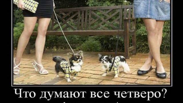 Картинки Демотиваторы Приколы 122567 смотреть онлайн