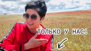 20.05.25 Черноморское! Утреннее море и Маковое поле. Супер закуска из баклажан