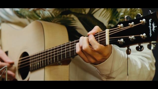 ⚡️ гитары не из дерева: ламинат, HPL, карбон. Что выбрат?