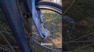 Batavus Weekend 28 планетарка 8 ск