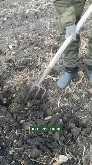 Еще одна причина. #огород #мульчирование #природноезем смотреть онлайн
