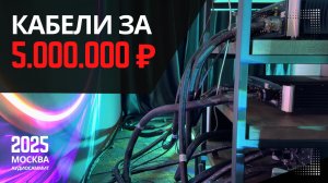 Совершенный звук: Petrik.Audio раскрывает звучание Gauder и Moon | Интервью