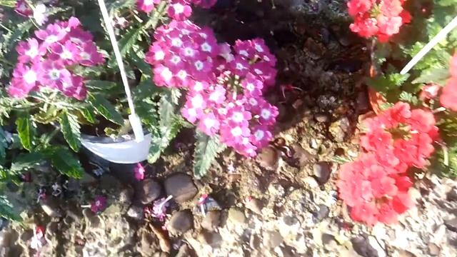Поздравляю с Днём рождения, посылаю кванту Счастья смотреть онлайн